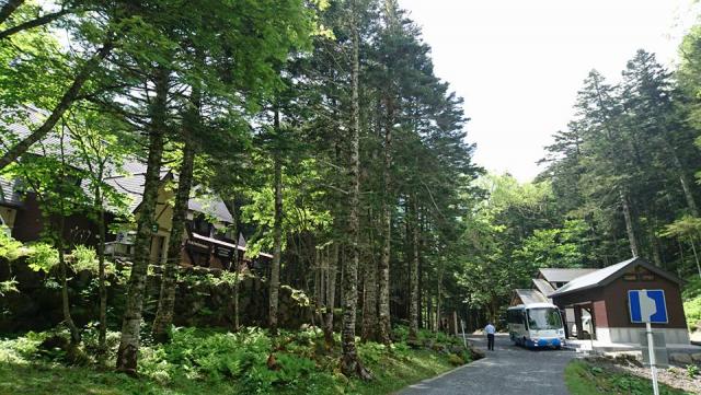 6月15日からバスの運行が再開。山荘周辺は緑に覆われています