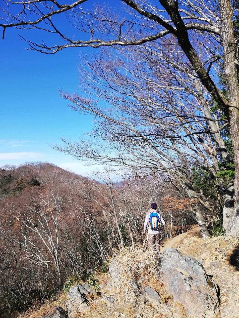 離岩尾根と川苔山北面縦走路 - 離岩尾根、蕎麦粒山、日向沢ノ峰、踊平、曲ヶ谷北峰、川苔山 - 2022年11月19日（土） /YamakeiOnline