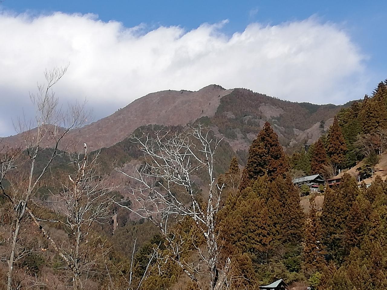 檜原村の尾根通とシンナソー右岸尾根 - 尾根通、湯久保山、シンナソー右岸尾根（藤倉分岐尾根） - 2023年1月28日（土） /YamakeiOnline