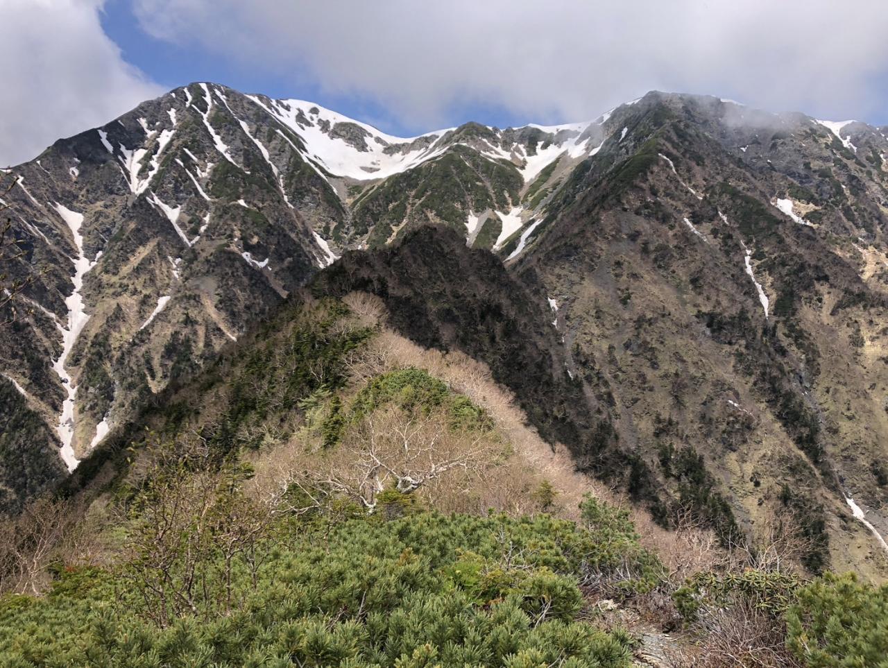 椹島からの赤石岳