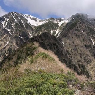 椹島からの赤石岳