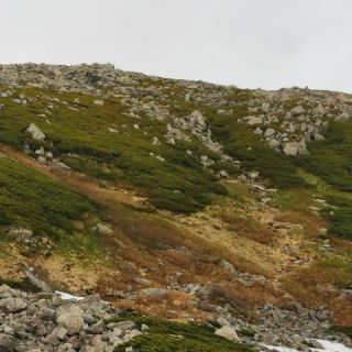 残雪が消えた浄土山への上りコース