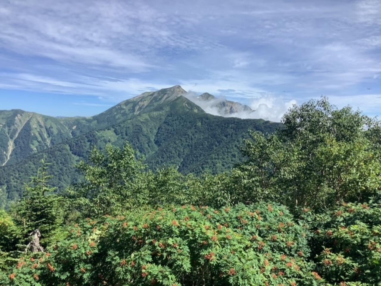 種池山荘小屋裏のナナカマドの実も赤くなってきました。