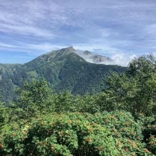 種池山荘小屋裏のナナカマドの実も赤くなってきました。