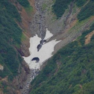 残りわずかになった針ノ木雪渓　雪渓歩きの箇所はなくなり、すべて「秋道」の土の上を歩行します。(8/31新越山荘より俯瞰)