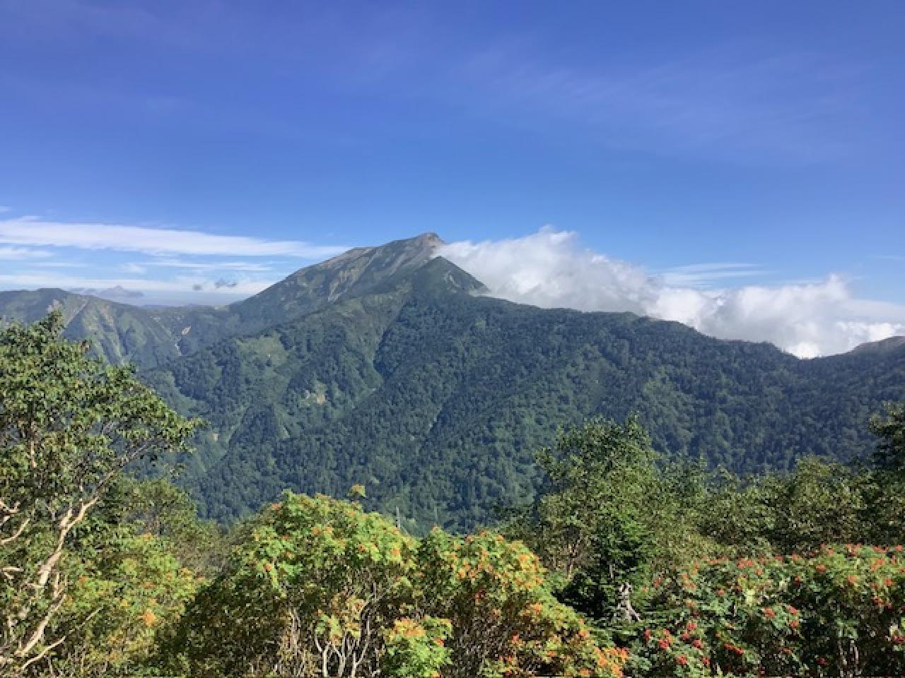 本日の鹿島槍ヶ岳。種池山荘裏の赤い実をたわわに付けたナナカマドは、葉っぱももう夏色ではなくなってきた感じ