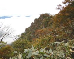 コシカケ岩の紅葉