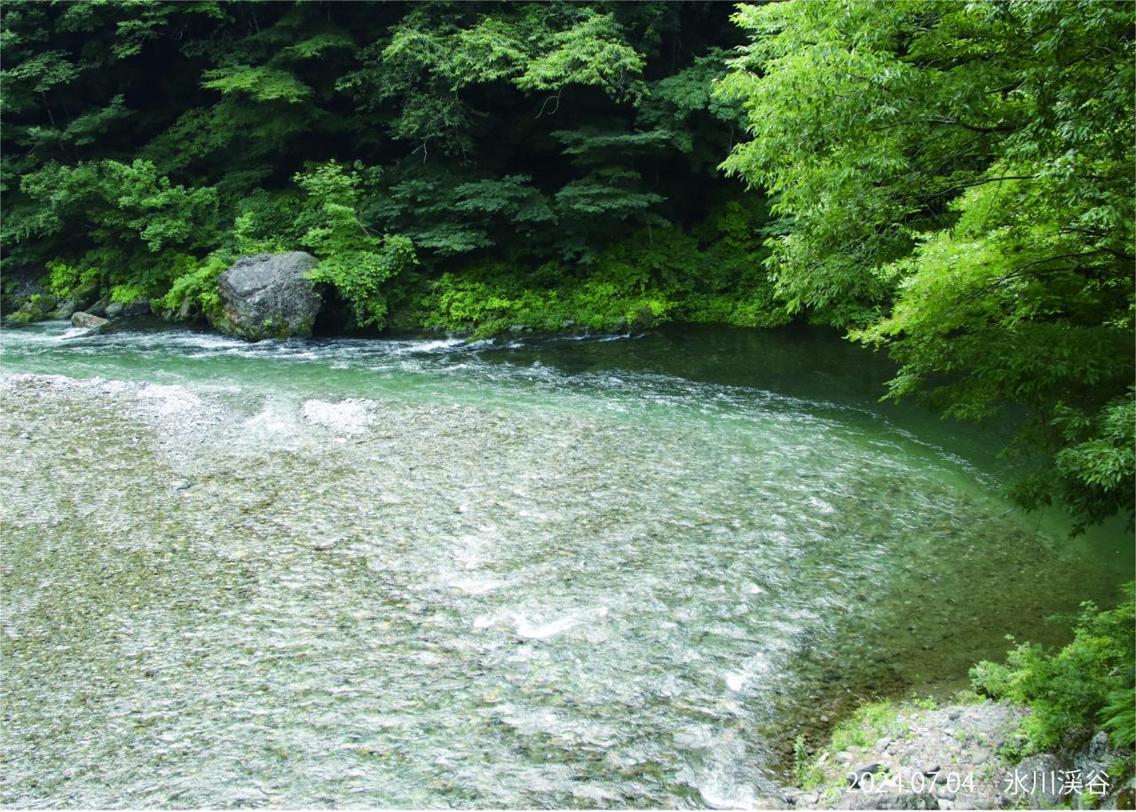 氷川渓谷　多摩川と日原川の合流点