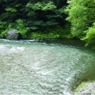 氷川渓谷　多摩川と日原川の合流点