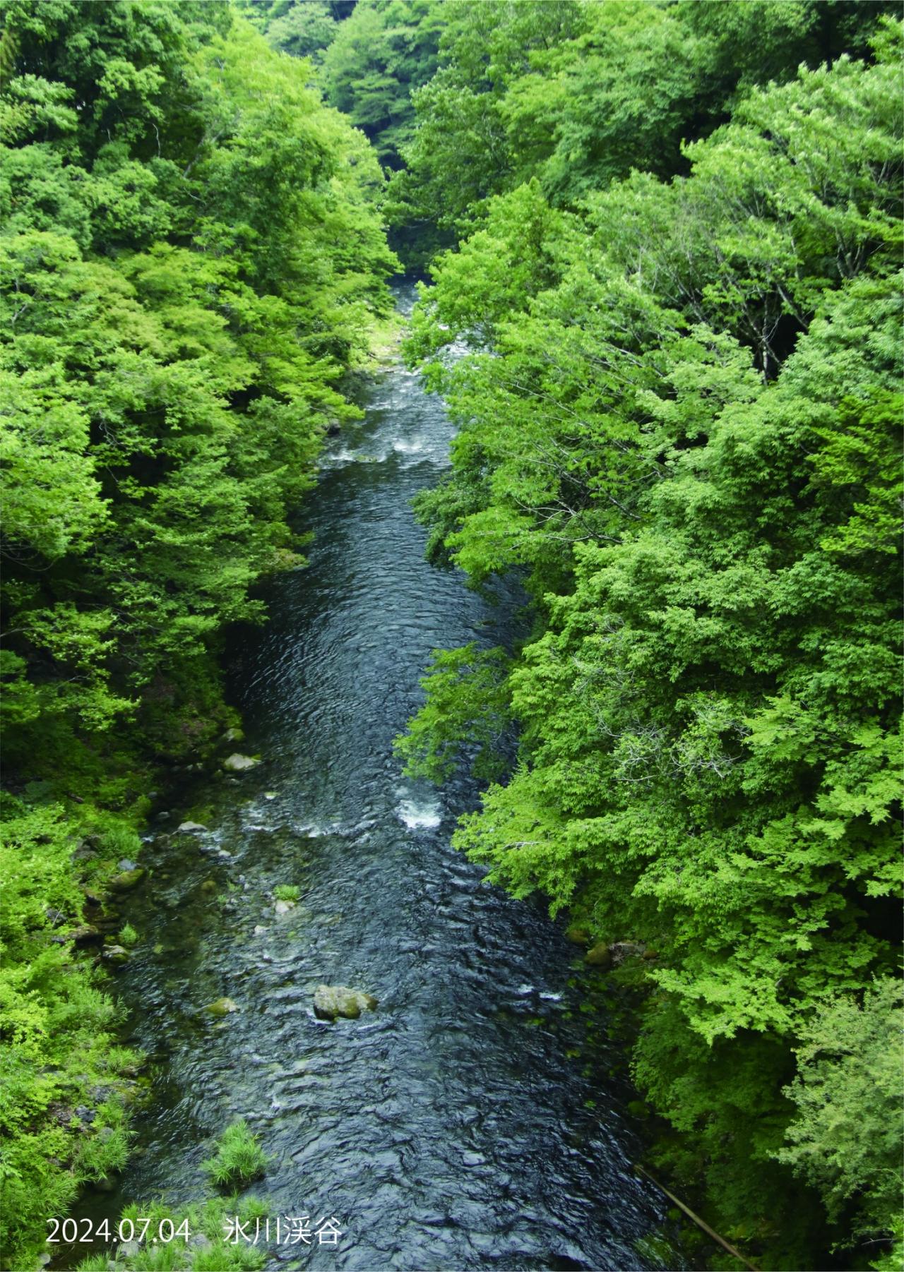 氷川渓谷は暑さしのげる涼スポット