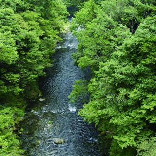 氷川渓谷は暑さしのげる涼スポット