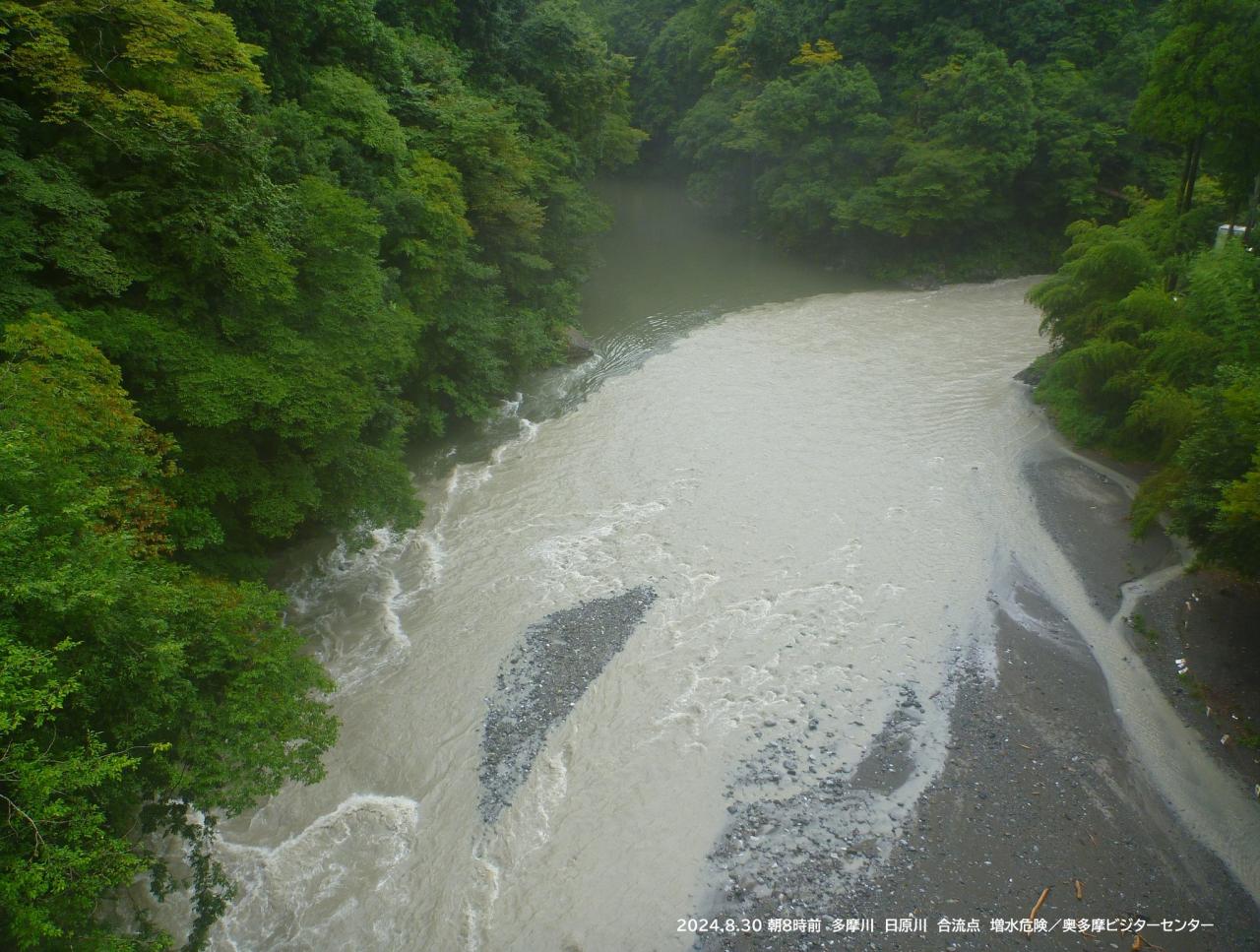 多摩川は茶色く濁り、増水しています。河原の面積が少なくなっています。現在立ち入りはできませ