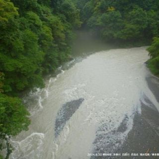 多摩川は茶色く濁り、増水しています。河原の面積が少なくなっています。現在立ち入りはできませ