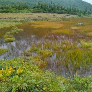 白馬大池山荘