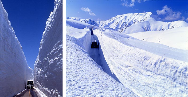 雪の大谷の高さ予想キャンペーンも 立山黒部アルペンルートが 完全再現 雪の大谷メモリアルウォーク 特設サイトを公開 ヤマケイオンライン 山と溪谷社