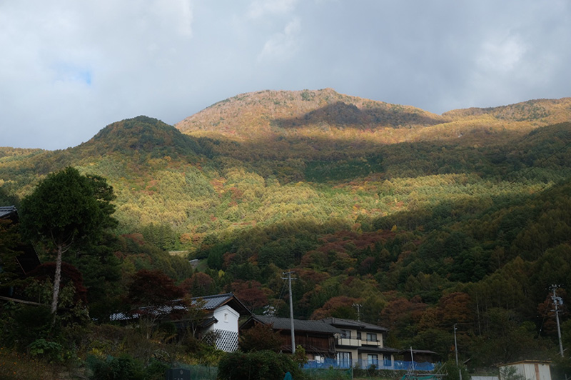 大鹿村上蔵（わぞ）地区から鳥倉山を望む