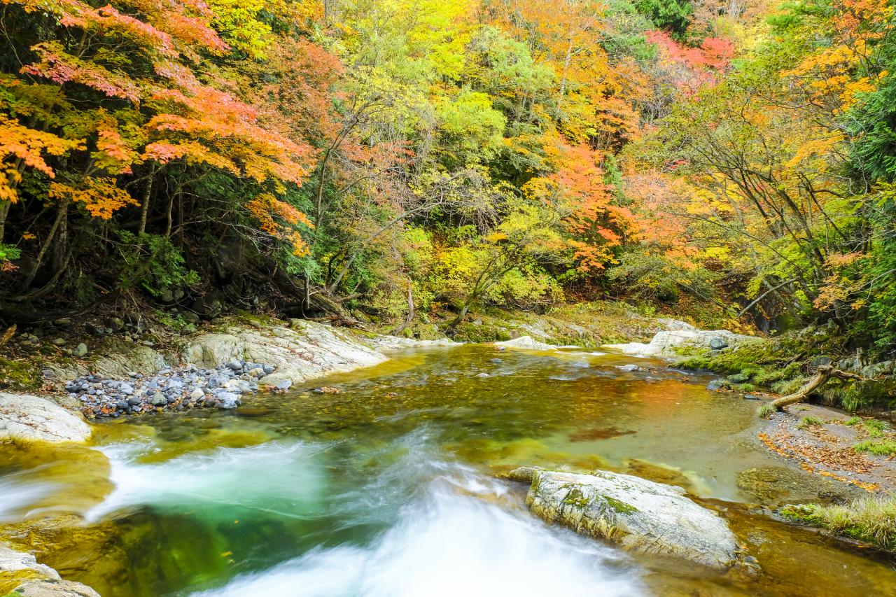 紅葉写真コンテスト18 紅葉の照葉峡 Yamakei Online 山と溪谷社