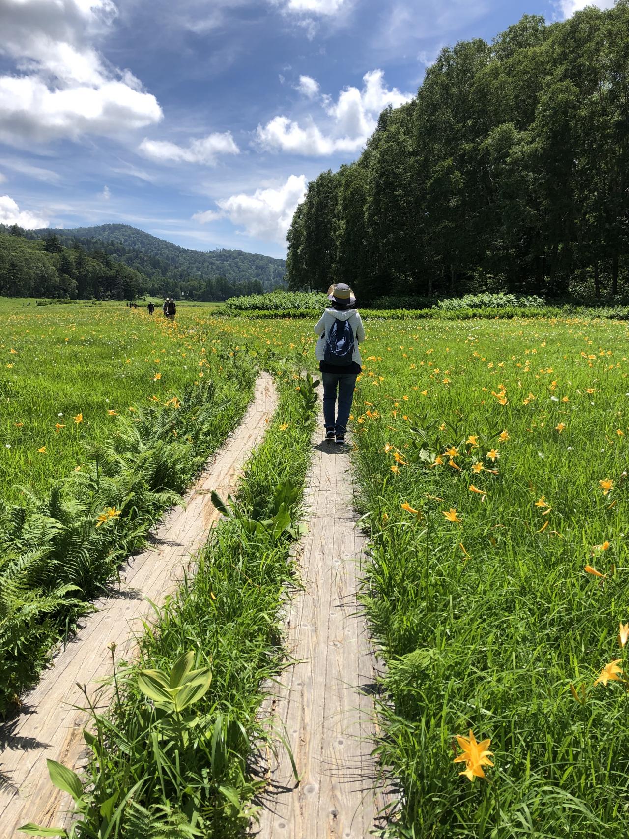妻と一緒に尾瀬を歩く 大江湿原 みんなの写真館 ヤマケイオンライン Yamakei Online 山と溪谷社