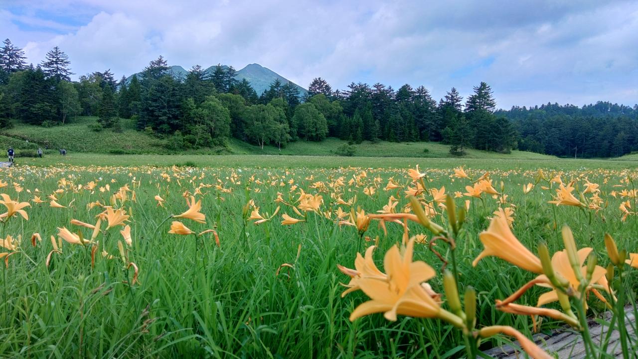 絶景 大江湿原 みんなの写真館 ヤマケイオンライン Yamakei Online 山と溪谷社