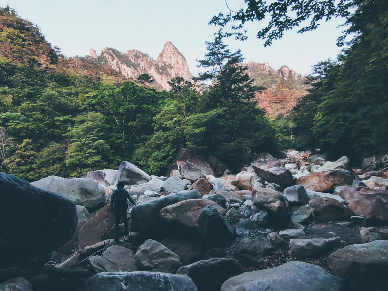 ブランド登録なし 展望登山ガイドシリーズ（４）剣・立山／（趣味／教養） | www.leissafeitosa.com.br - 趣味、実用