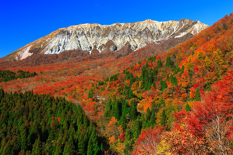 11月1日更新】伯耆大山の紅葉は見頃を迎えています。秋山紅葉情報2023 - 山と溪谷オンライン