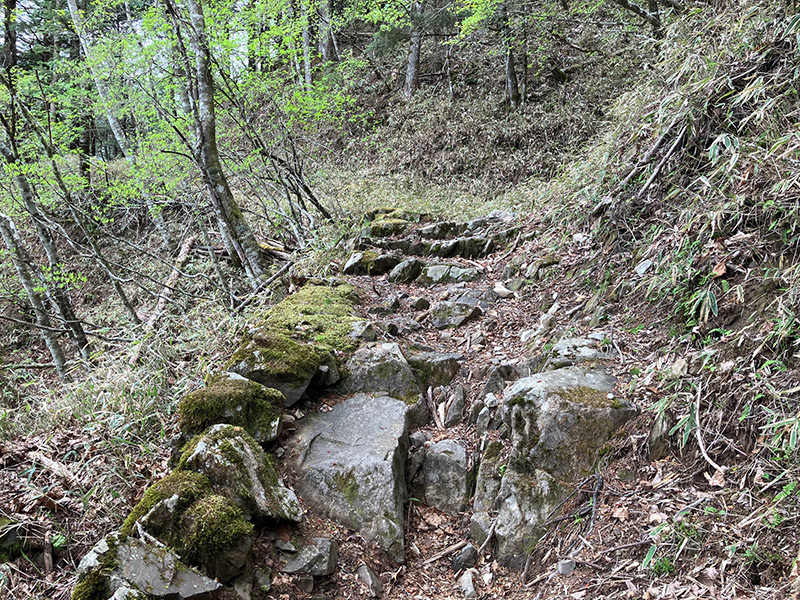 丹波大菩薩道に残された石段の痕跡