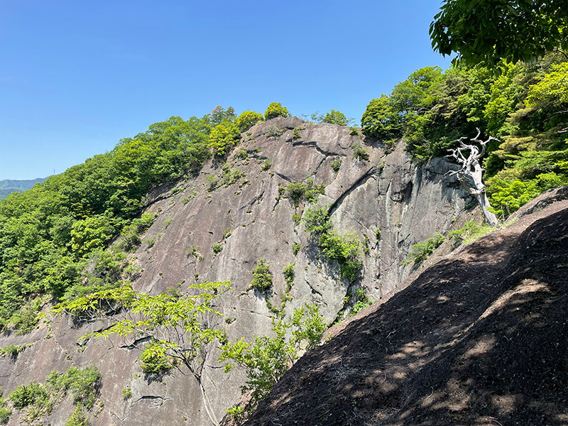 登山道から稚児落としの岩壁を望む