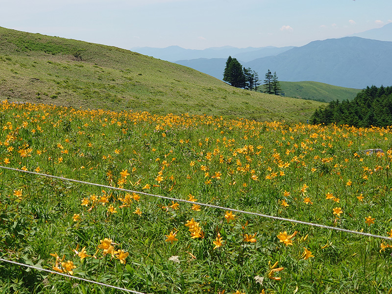 長野県・霧ヶ峰（車山）