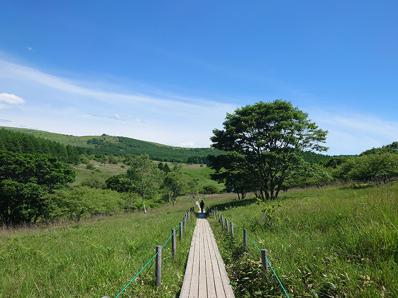 長野県・霧ヶ峰（車山）