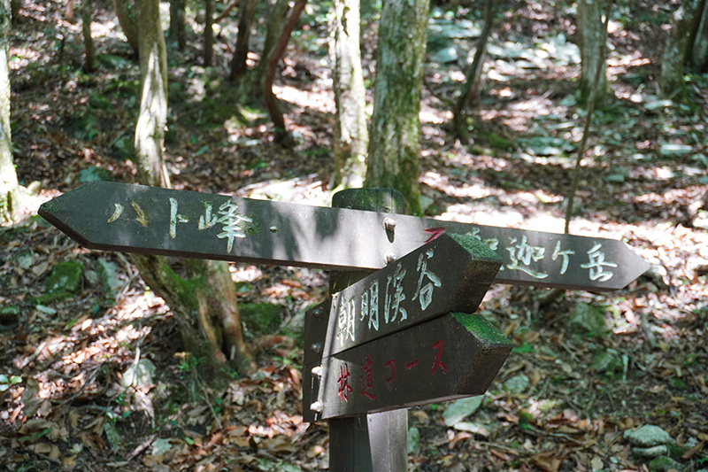 釈迦ヶ岳とハト峰の分岐