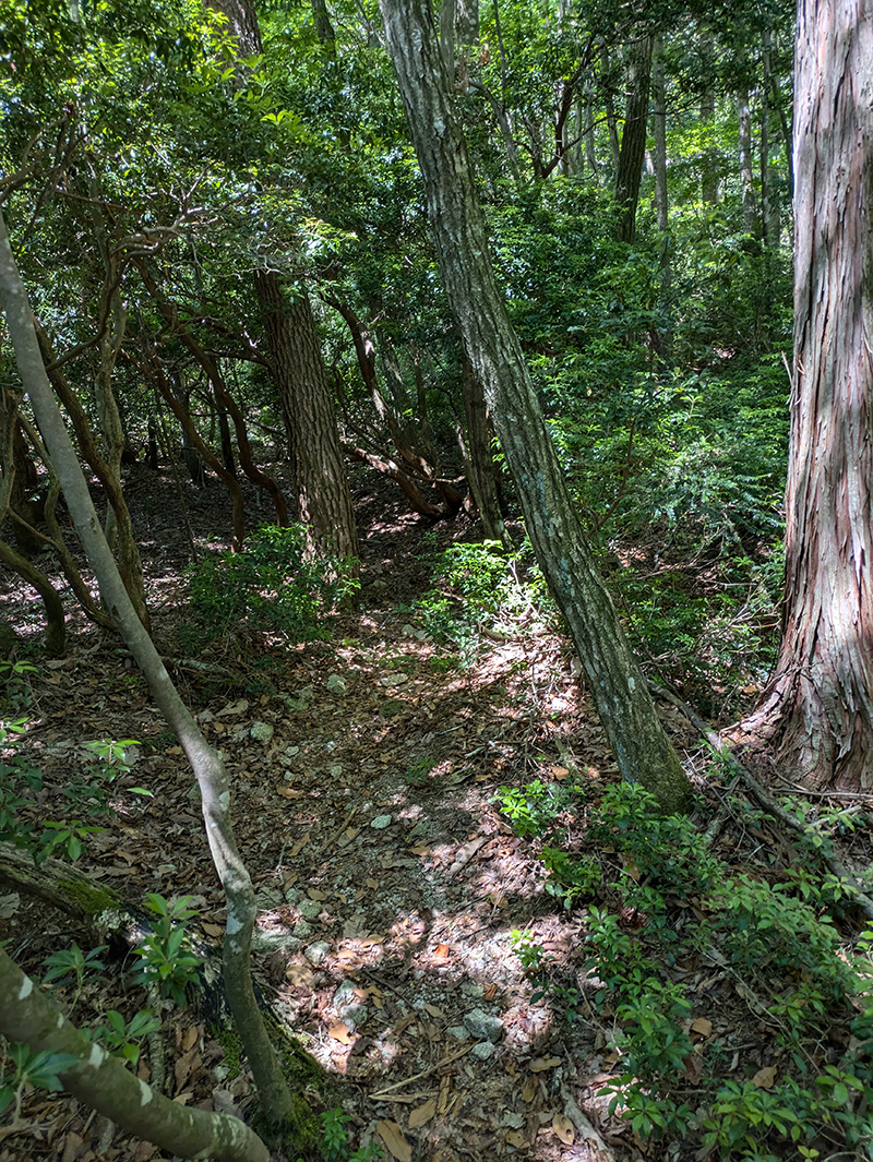 神崎川上部の道