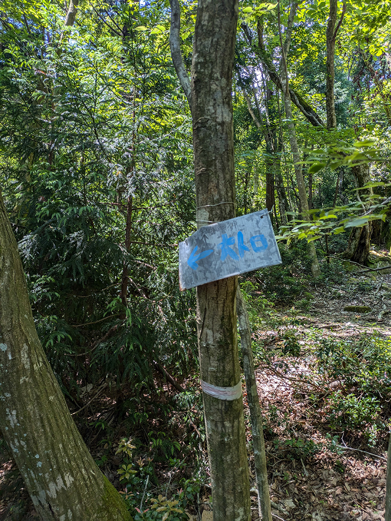 神崎川上部の道