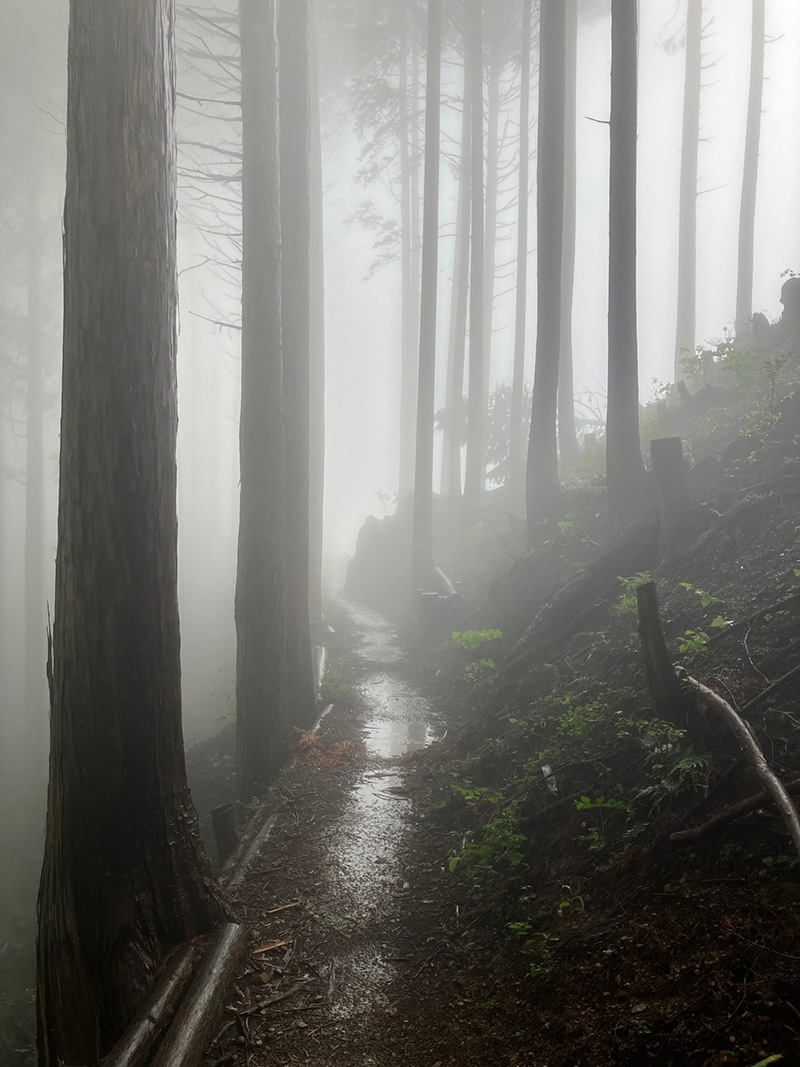 奥多摩・かすみかかった登山道