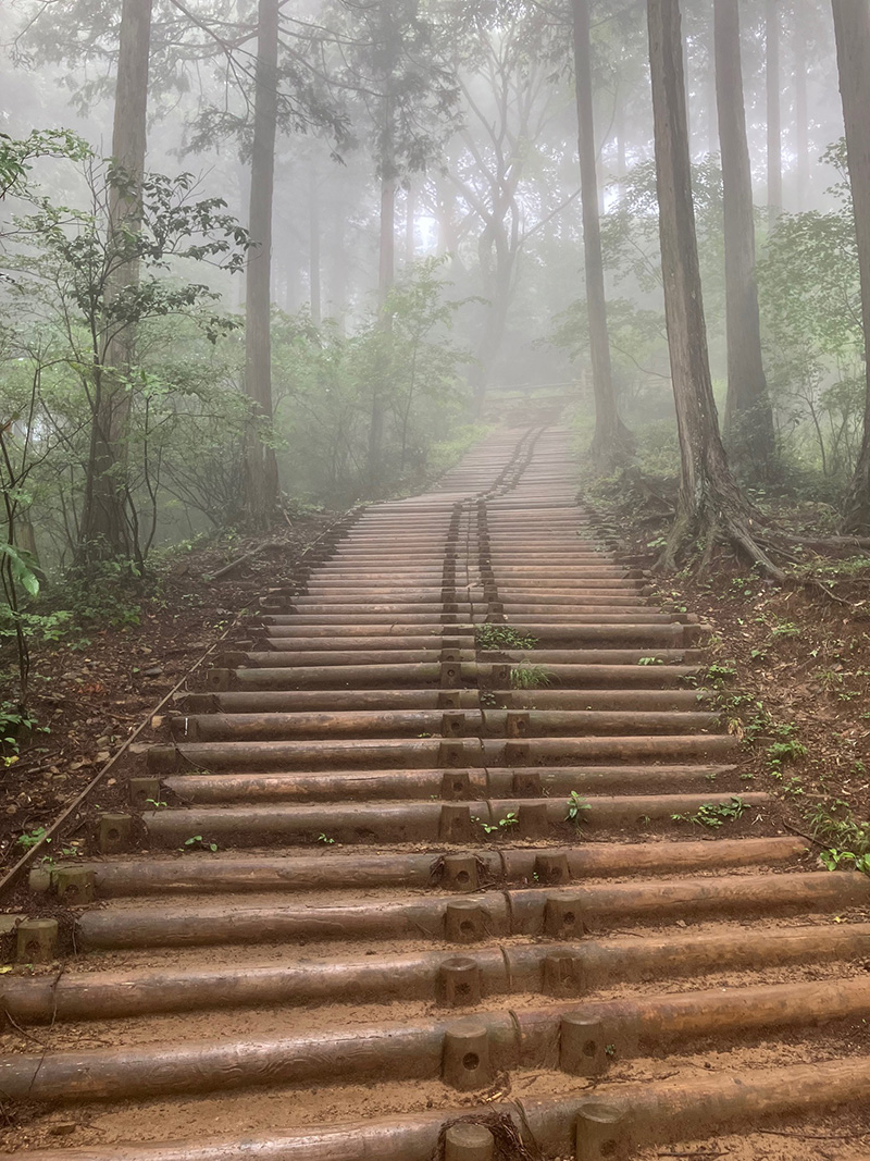 奥多摩・日の出山頂上直下の階段の登り