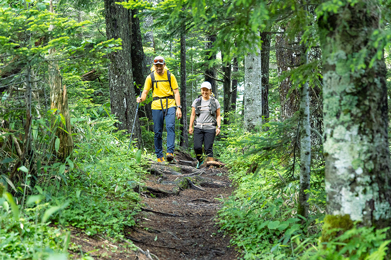 西穂山荘までの登山道