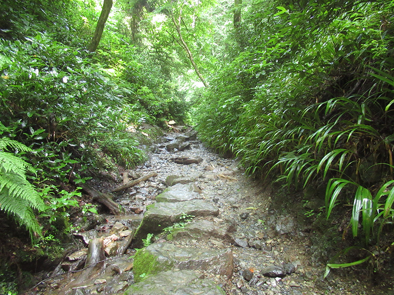 高尾山　6号路