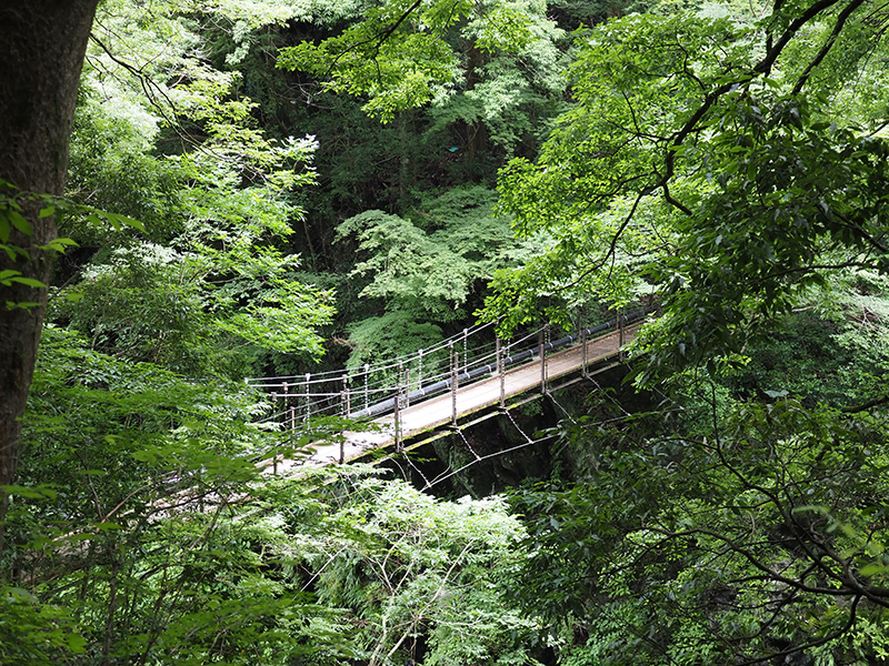 森と川を楽しめる氷川渓谷遊歩道の登計橋