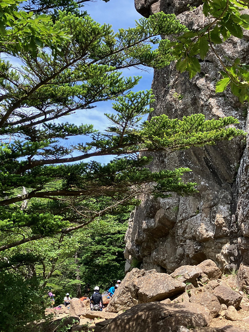 三ツ峠山　屏風岩を登るクライマーのみなさん