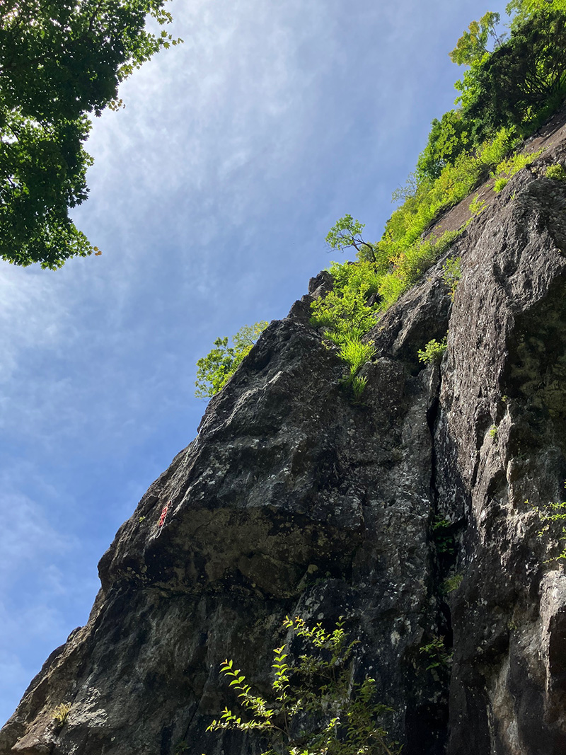 三ツ峠山　屏風岩を仰ぎ見る