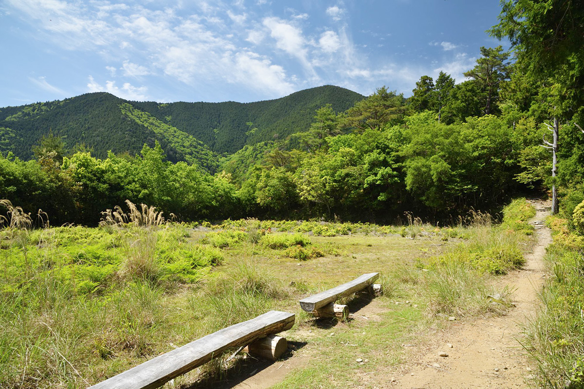 〉天水田跡。後方の山並みは果無山脈