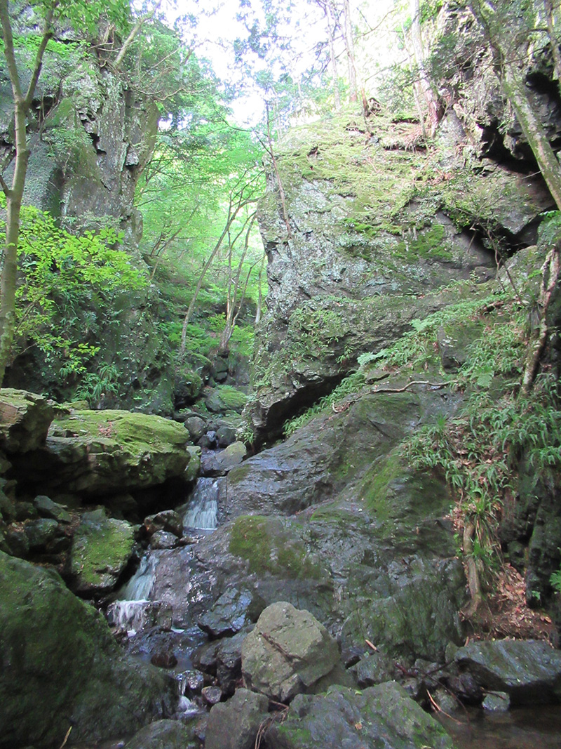 棒ノ嶺（棒ノ折山）　ゴルジュ