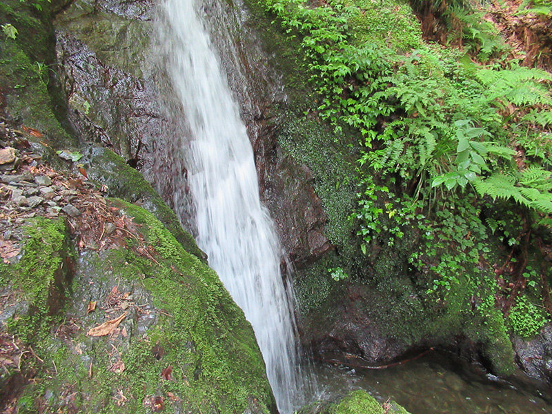 棒ノ嶺（棒ノ折山）　小さな滝が流れるすぐ横を登っていく