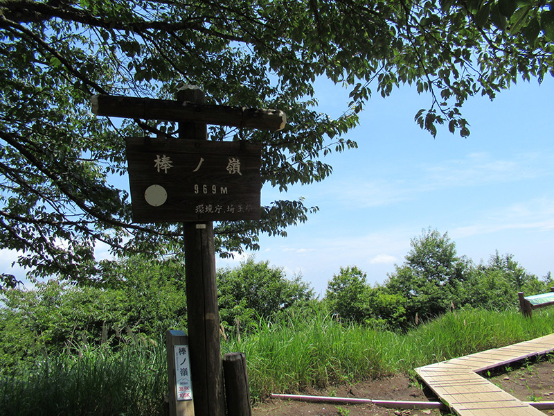 棒ノ嶺（棒ノ折山）山頂