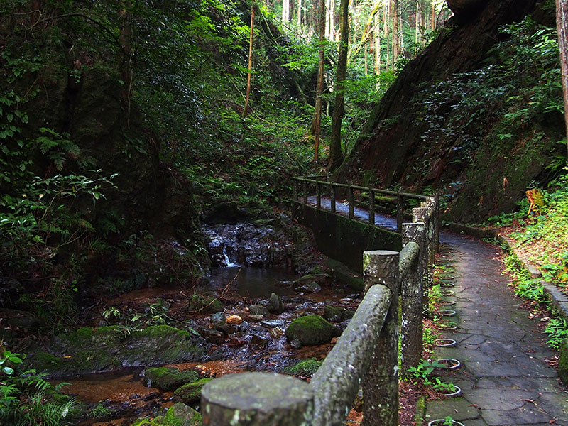 沢沿いの遊歩道には涼しげな風が吹き、先ほどまでの暑さがウソのよう