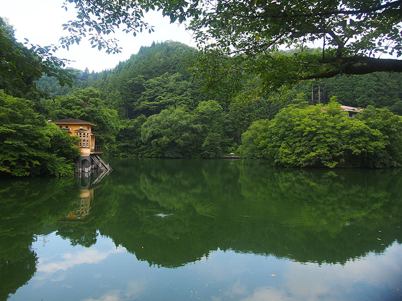 夏の緑に染まった水を湛える鎌北湖