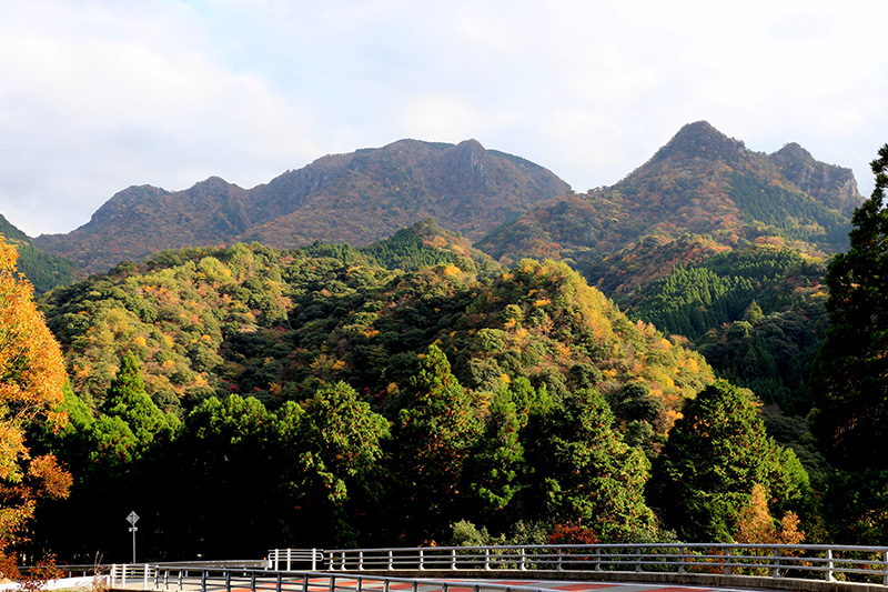 秋もきれいな八方ヶ岳