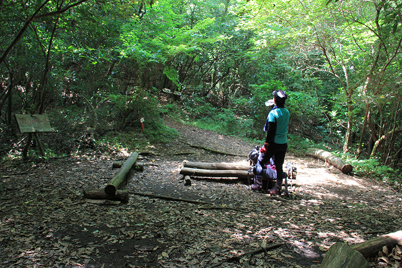 八方ヶ岳 尾根上の穴川分岐