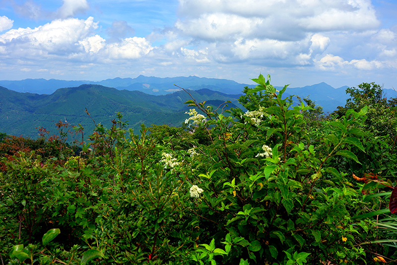 八方ヶ岳山頂