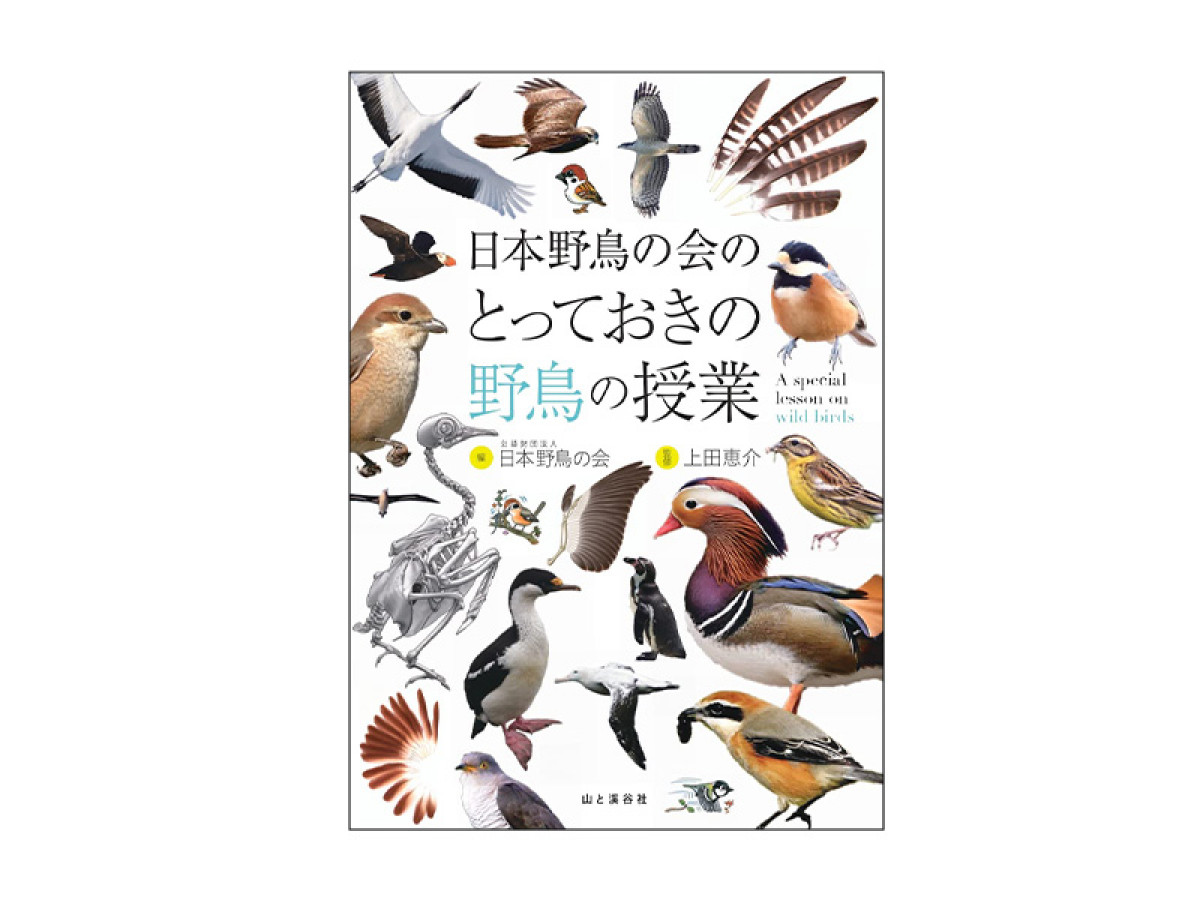 生態の不思議選りすぐり『日本野鳥の会のとっておきの野鳥の授業』 - 山と溪谷オンライン