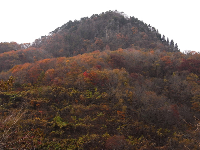 筑紫森 (つくしもり)：392ｍ - 山と溪谷オンライン